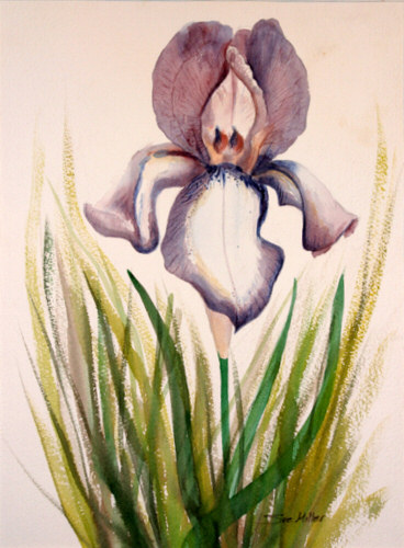 The Iris Print